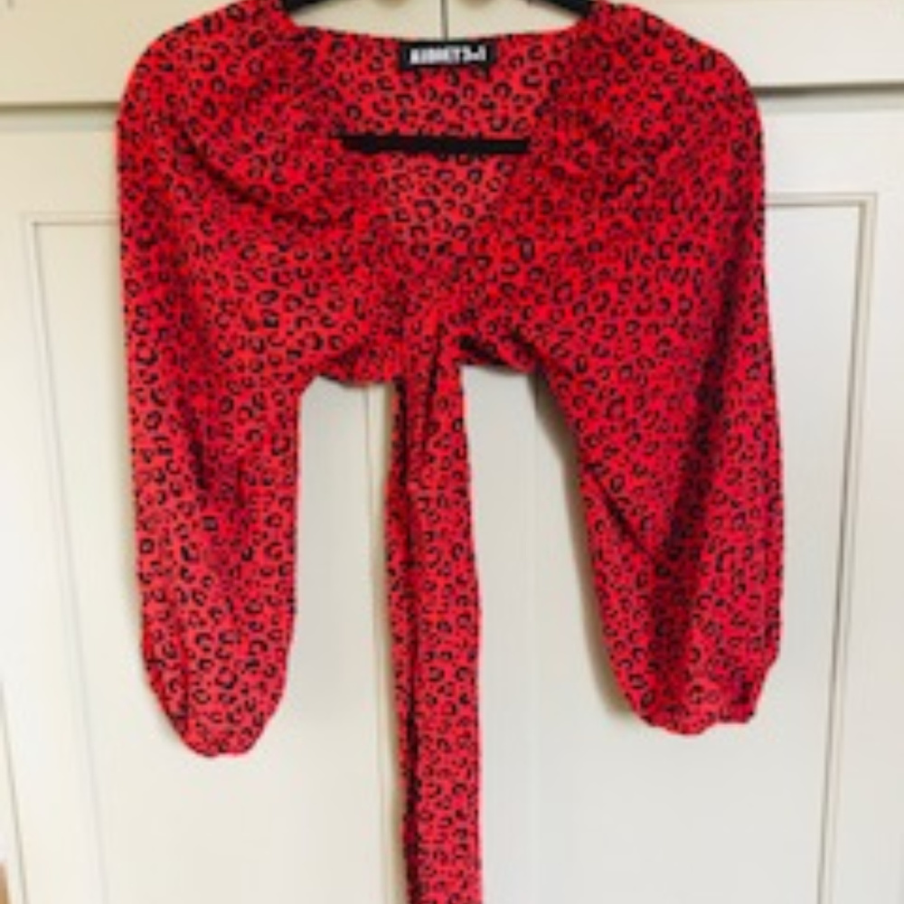 NWOT Audrey 3 +1 Long Sleeve Cropped Top